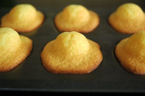 Madeleines the deux