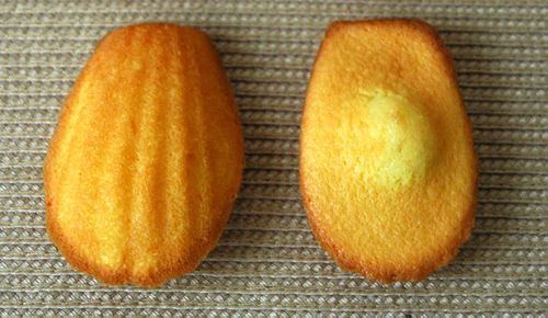 Madeleines duo