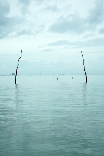 Parc huitre marennes oleron piquets vue 1