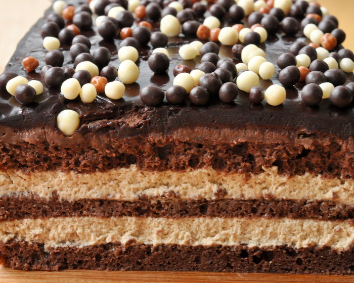 Gateau opera encyclopedie chocolat valrhona