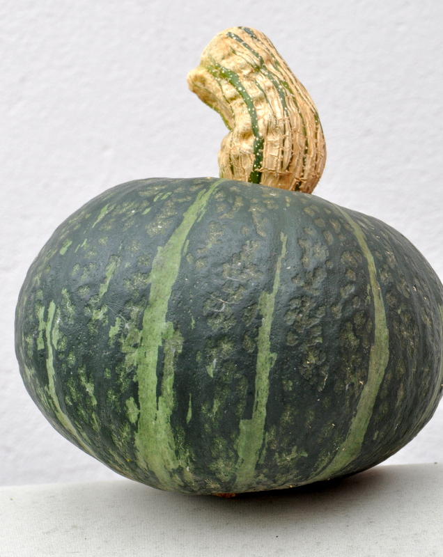 Courge kabocha deux vue 1