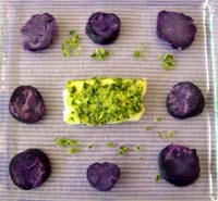 Assiette_dessus_vue_1