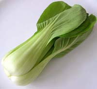 Bok_choi_vue_2_1