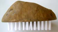 Brosse_patate_vue_1