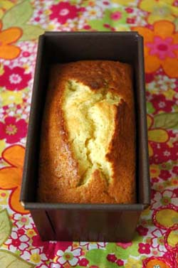 Cake_abricots_eau_de_rose_vue_1_3