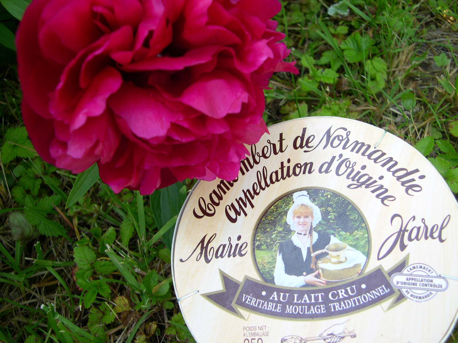 camembert_de_normandie