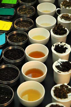 Couleurs_de_the_deux_vue_2