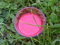 Coulis_de_fraises_vue_2