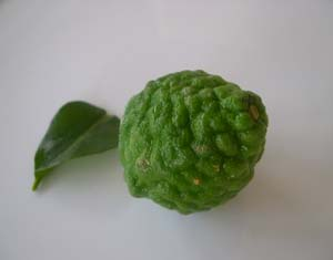 Cumbava_kafir_lime_vue_2