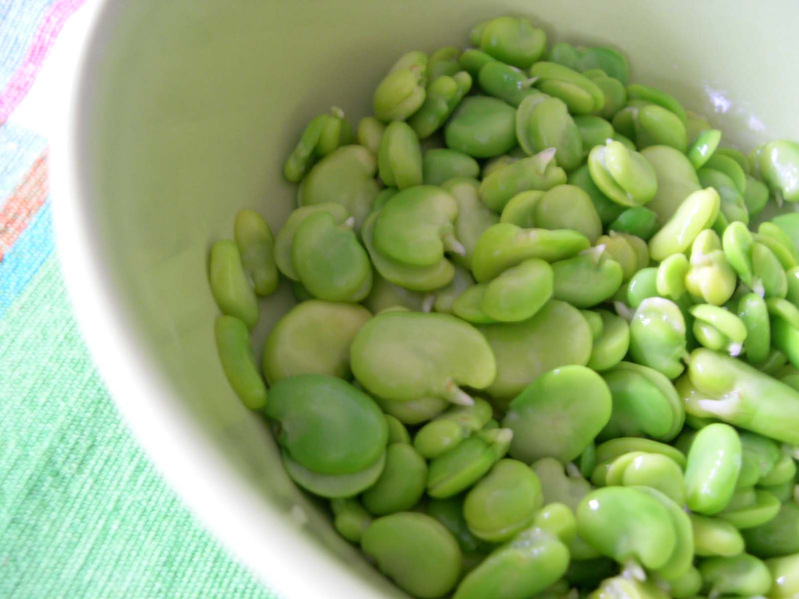 feves_aprs_epluchage