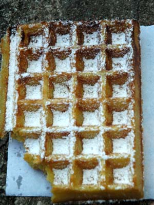 Gaufre_quarre_les_tombes_vue_1