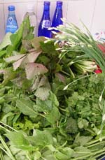 Herbes_fraiches_vue_2