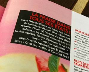 La_fraise_dans_tous_ses_etats_vue_1