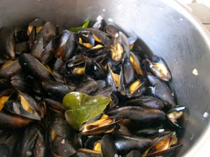 Moules_marinieres_vue_3
