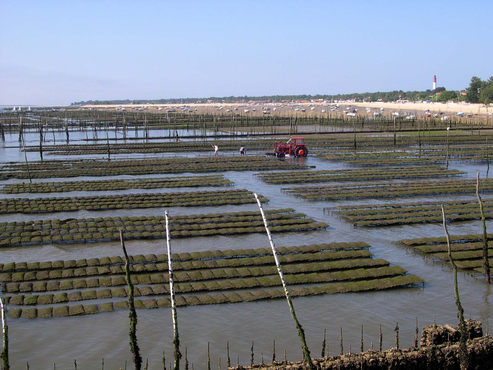 parc_a_huitres_cap_ferret_bis