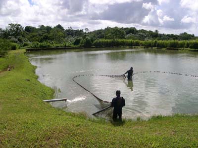 pecheurs_ouassous_domaine_severain_vue_1