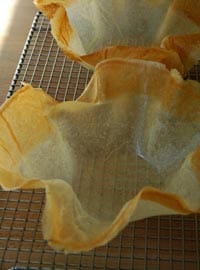 Tulipes_aprs_cuisson_vue_2