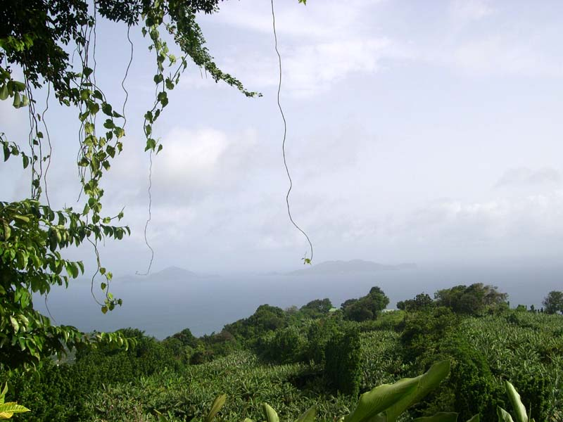 vue_iles_saintes_maison_banane